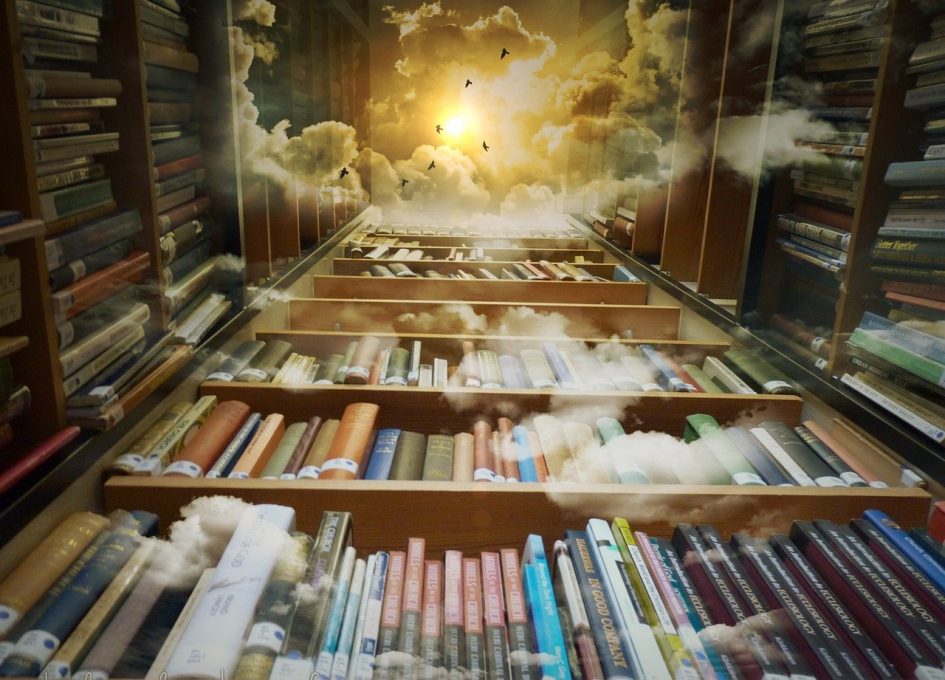 bibliothèque idéale spiritualité médiumnité